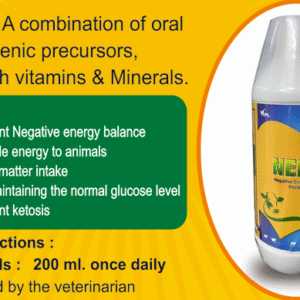 Negative Energy Balance Pro