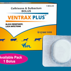 Ceftriaxone & Sulbactam VENTRAX PLUS