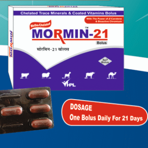 Mormin-21 Bolus