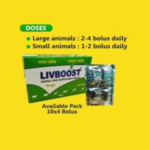 Livboost - ANIMAL FEED SUPPLEMENT BOLUS