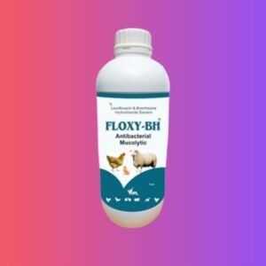 Floxy - BH