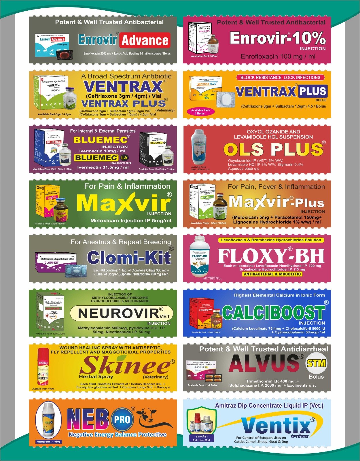 WhatsApp Image 2025-12-30 at 10.07.22 PM