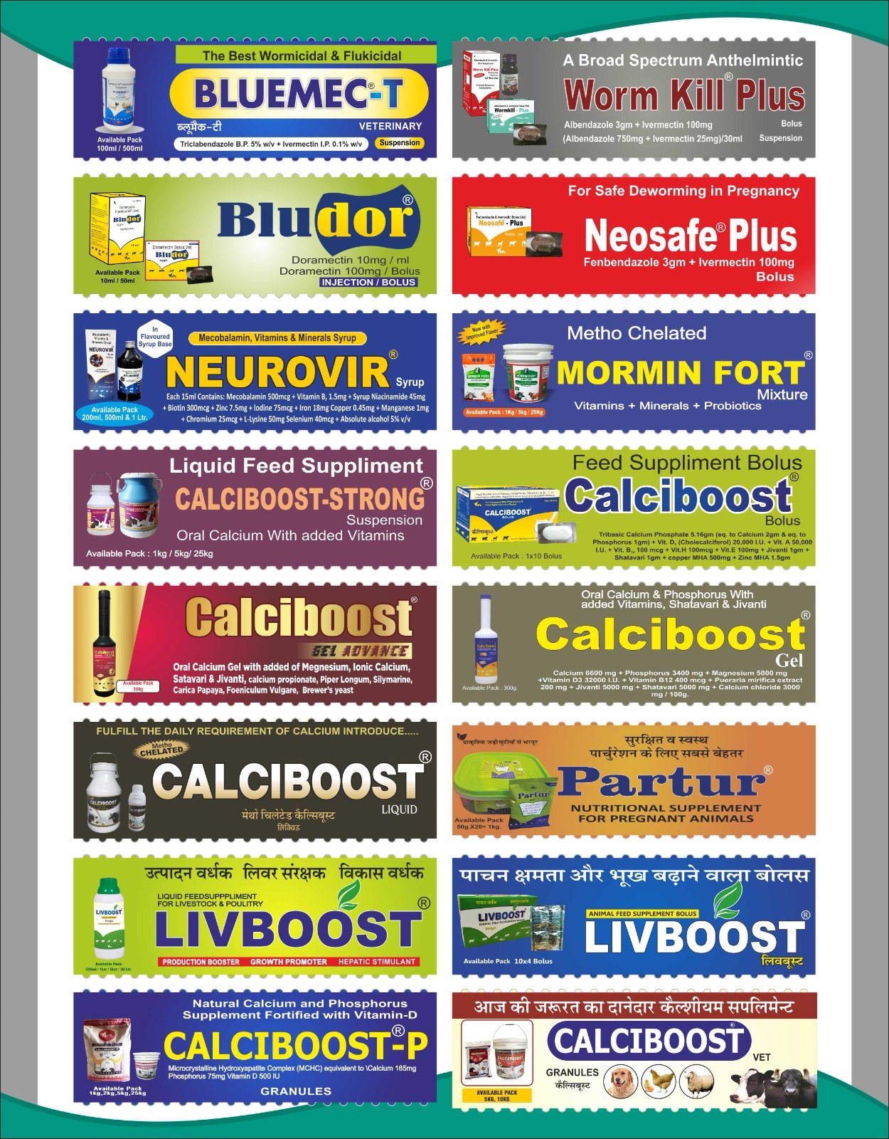 WhatsApp Image 2025-12-30 at 10.07.23 PM (1)