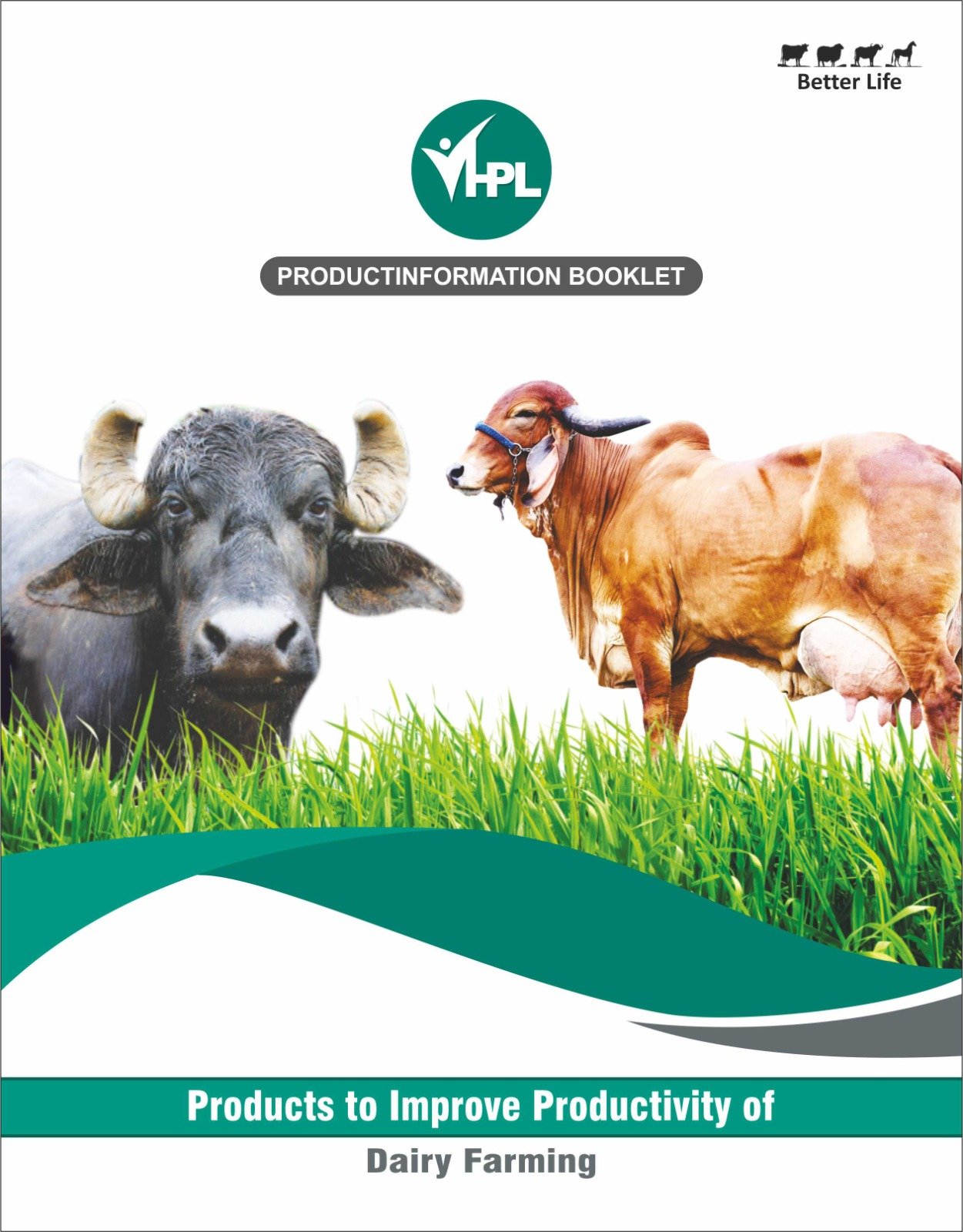 WhatsApp Image 2025-12-30 at 10.07.23 PM (2)