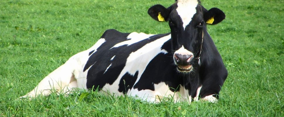 UAR_Website_Article_24